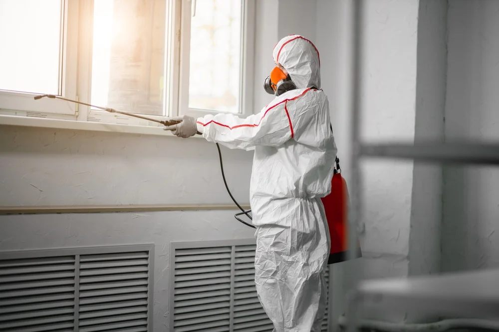 Professional mold remediation services in Deatsville, AL